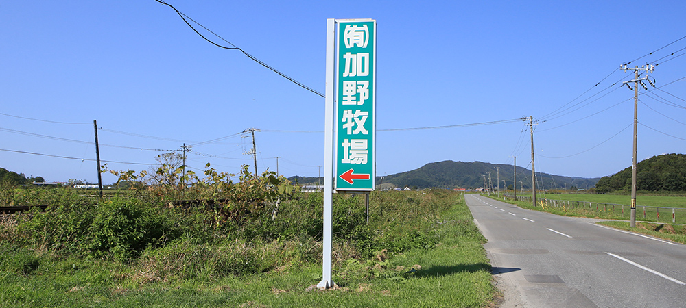 加野牧場